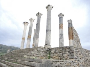 bolubilis