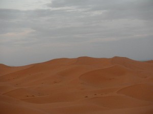 sahara