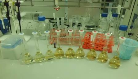 polysaccaride