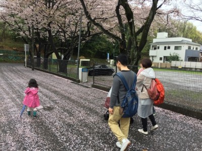 21_sakura carpet