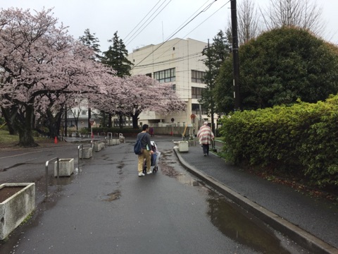 5_syoka univ